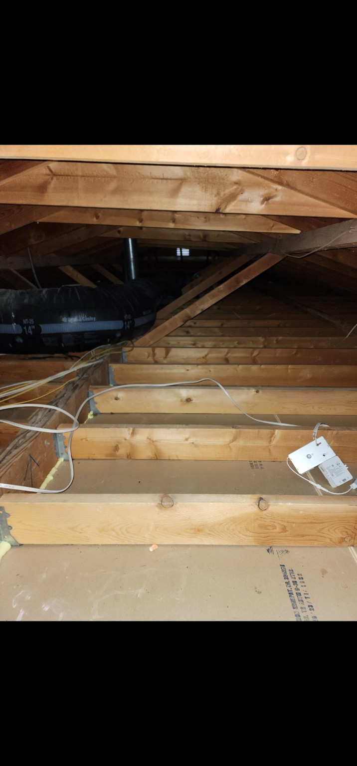 Clean attic after insulation removal